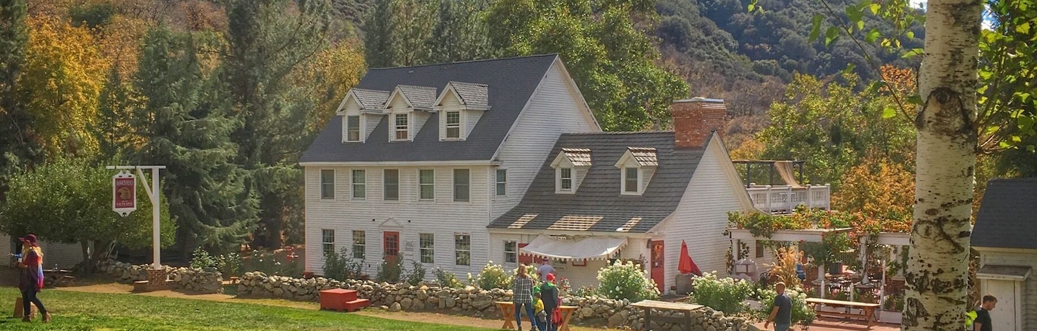 Great place to stop and have lunch. The food was surprisingly amazing. The atmosphere takes you back to a simpler time and the Apple picking makes a fun excursion for everyone! Check out their historic demonstrations on the weekends!