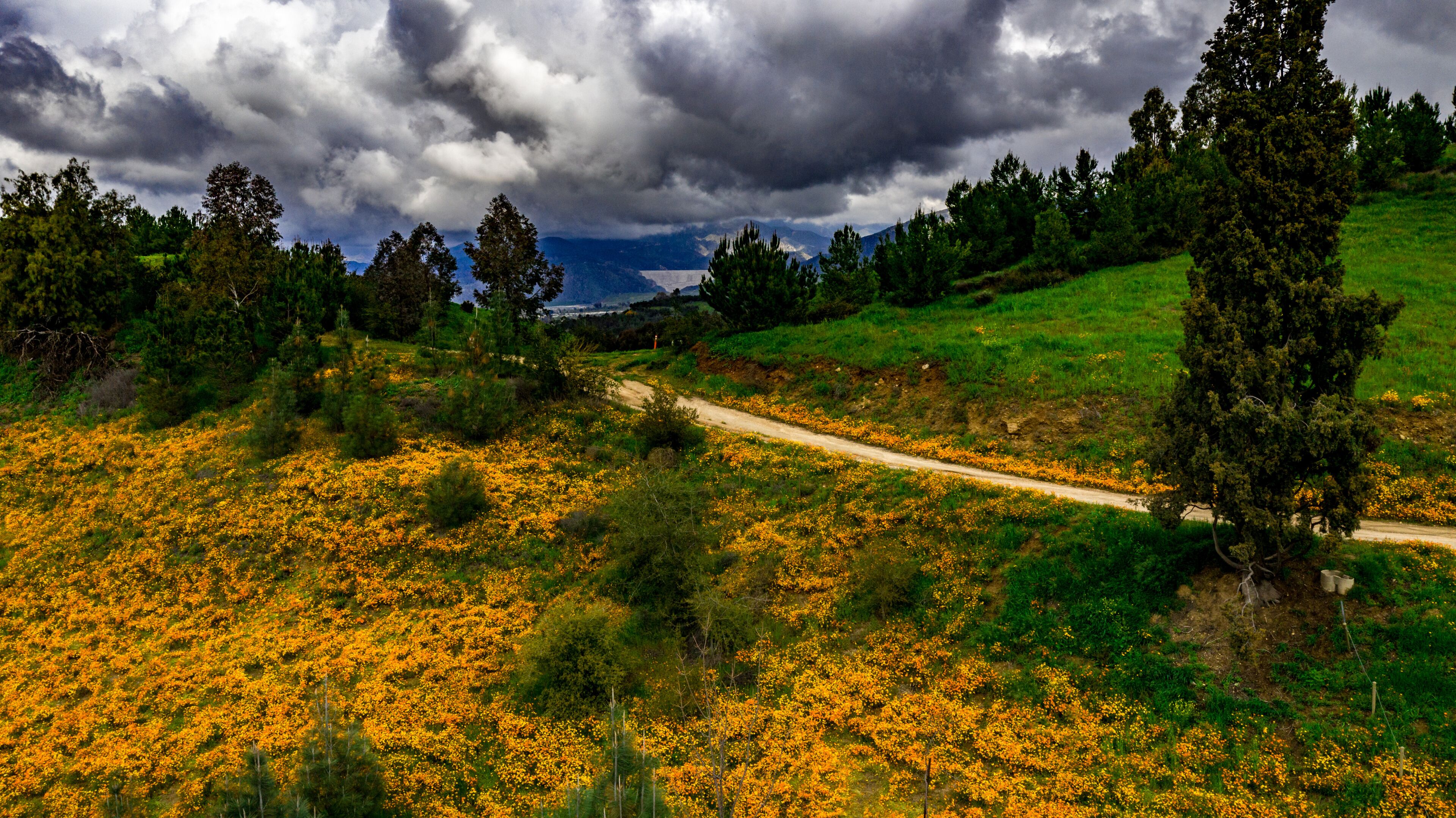 يوكيبا، سان بيرناردينو، كاليفورنيا