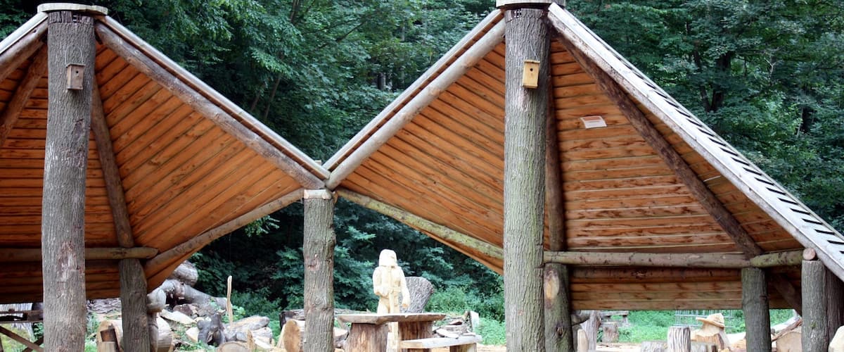 Two wooden structures with triangular roofs, surrounded by trees and logs.