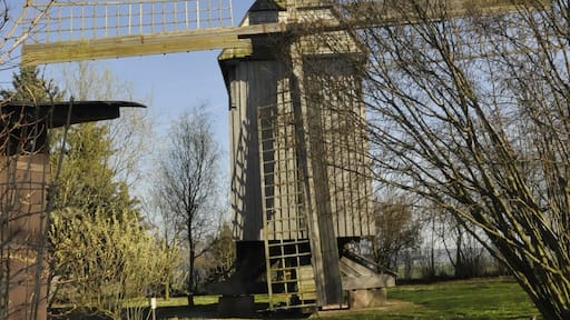 Langenroda, Bockwindmühle