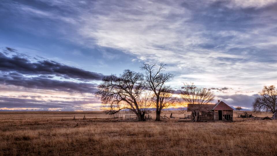 A rural landscape with a small wooden house, several leafless trees, and a vast open field under a dramatic sky.