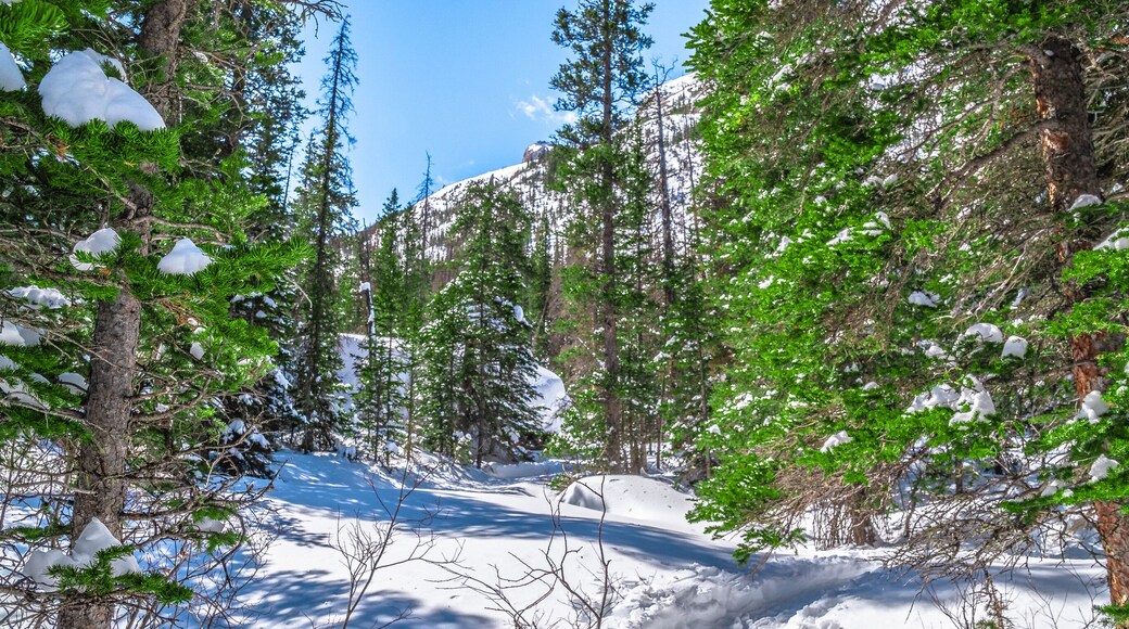 Beautiful Spring Hike to Blacks Lake in Rocky Mountain National Park in Colorado