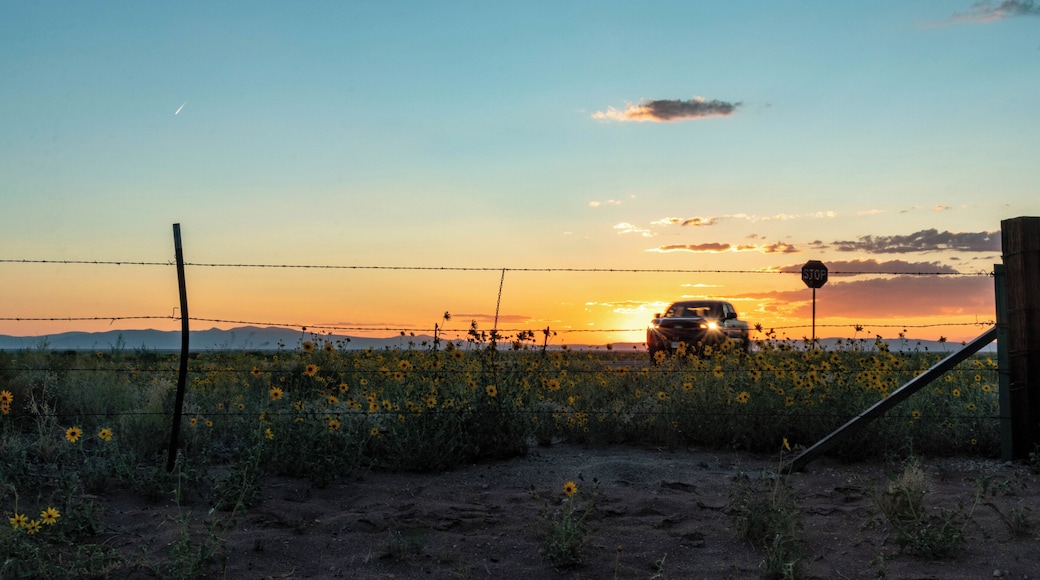 Blanca Peak has some stunning views, but make sure to bring a good 4-wheeler because hiking in 6 plus miles just to get to the trailhead is a little rough. #Adventure #Hiking #14erns
