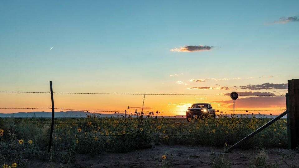 A sunset over a field of sunflowers with a car and a stop sign in the foreground.