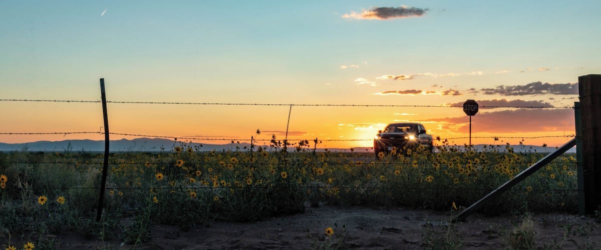 A sunset over a field of sunflowers with a car and a stop sign in the foreground.