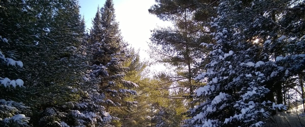 Snowshoeing along the trails of Gatineau Park after spending the night in a yurt on Taylor Lake. #snow #hiking