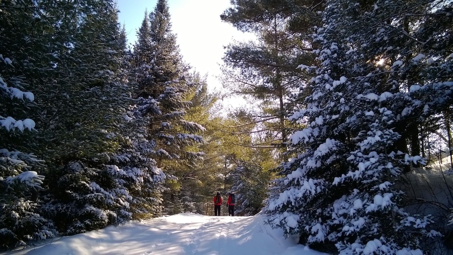 Snowshoeing along the trails of Gatineau Park after spending the night in a yurt on Taylor Lake. #snow #hiking