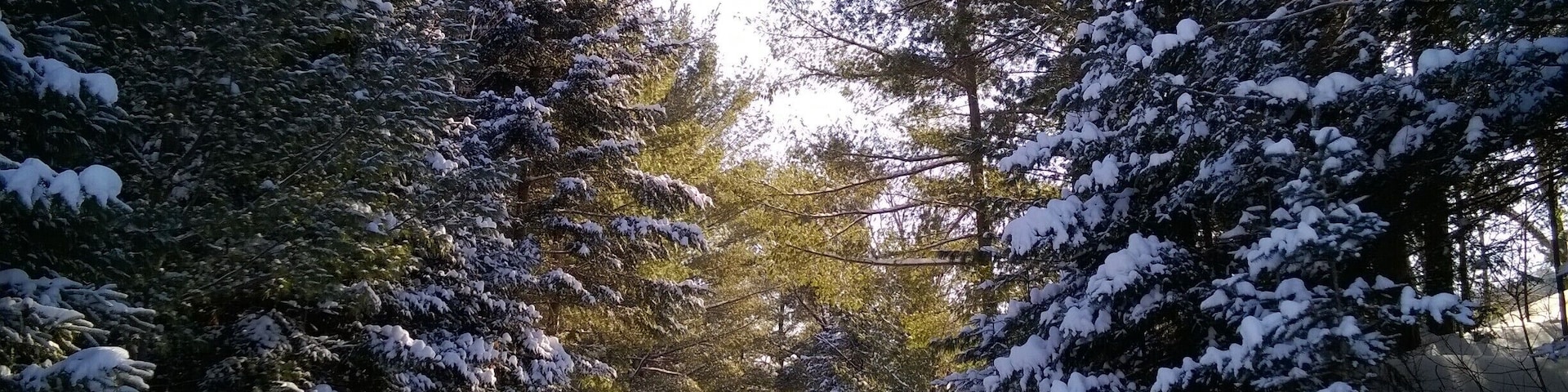 Snowshoeing along the trails of Gatineau Park after spending the night in a yurt on Taylor Lake. #snow #hiking