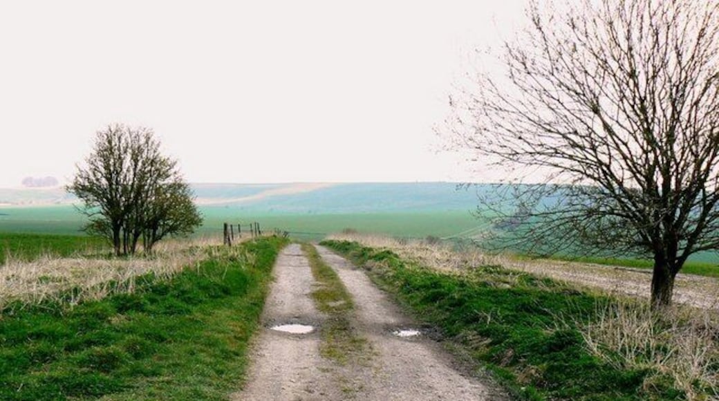 'Other route with public access', near Hackpen, Wiltshire This route is marked at the entrance off the main road as being unsuitable for motor vehicles. I've seen worse not so marked. The higher ground on the skyline is Hackpen Hill. This was a day with difficult light; hazy and flat somehow. I've tweaked the contrast and colour balance a bit with limited success.