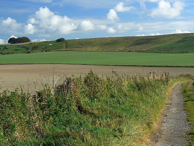 A view of Hackpen Hill, near Winterbourne Bassett The hill itself is out of the square. The cultivated land between it and the viewpoint is mostly within it. The white horse is at SU127748.