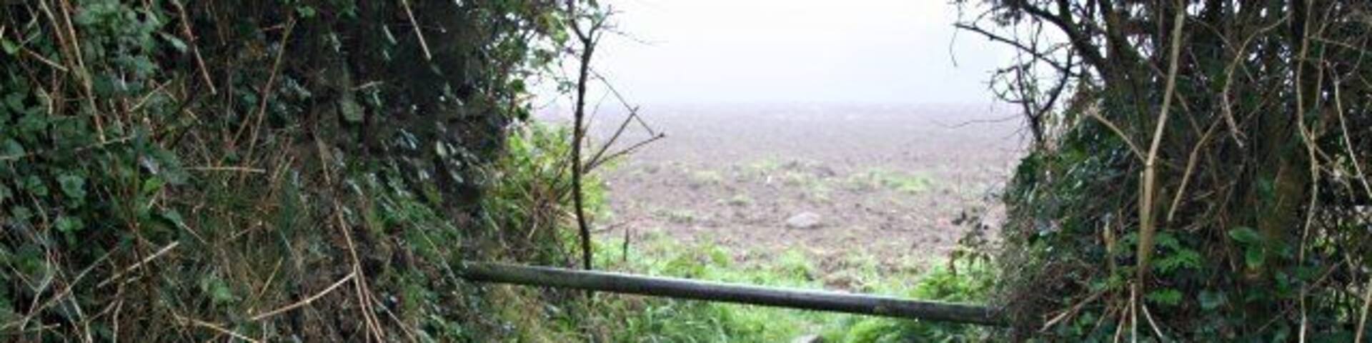 Stile or Cattle Grid? This was photographed on the eastern side of Praze-an-Beeble where a footpath meets a byway. I don't know whether you would call this a stile or a cattle grid, either way it performs the same function, it keeps large farm animals in the field while letting people through. The metal pole across the top is a more recent addition and probably serves to bar the way to two wheeled vehicles. Not a stile but a cattle grid; stiles are for going up and then down