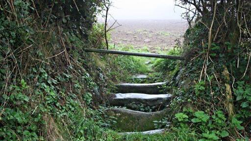 Stile or Cattle Grid? This was photographed on the eastern side of Praze-an-Beeble where a footpath meets a byway. I don't know whether you would call this a stile or a cattle grid, either way it performs the same function, it keeps large farm animals in the field while letting people through. The metal pole across the top is a more recent addition and probably serves to bar the way to two wheeled vehicles. Not a stile but a cattle grid; stiles are for going up and then down