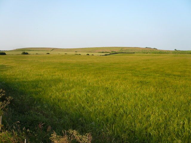 Bridleway View - Field of Barley
