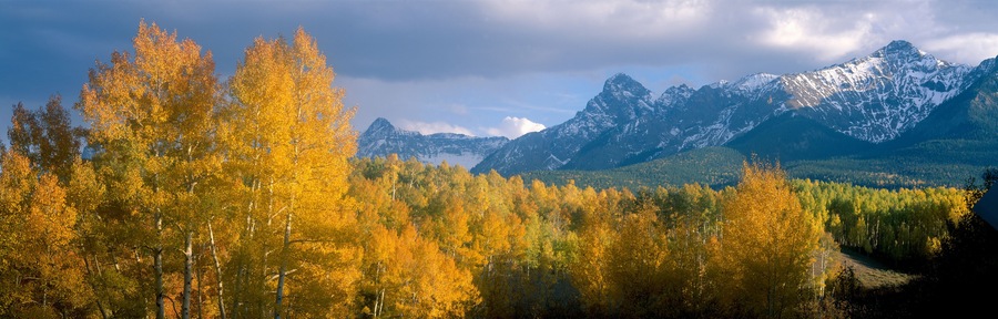 Un bosque con árboles de colores otoñales y montañas nevadas al fondo.