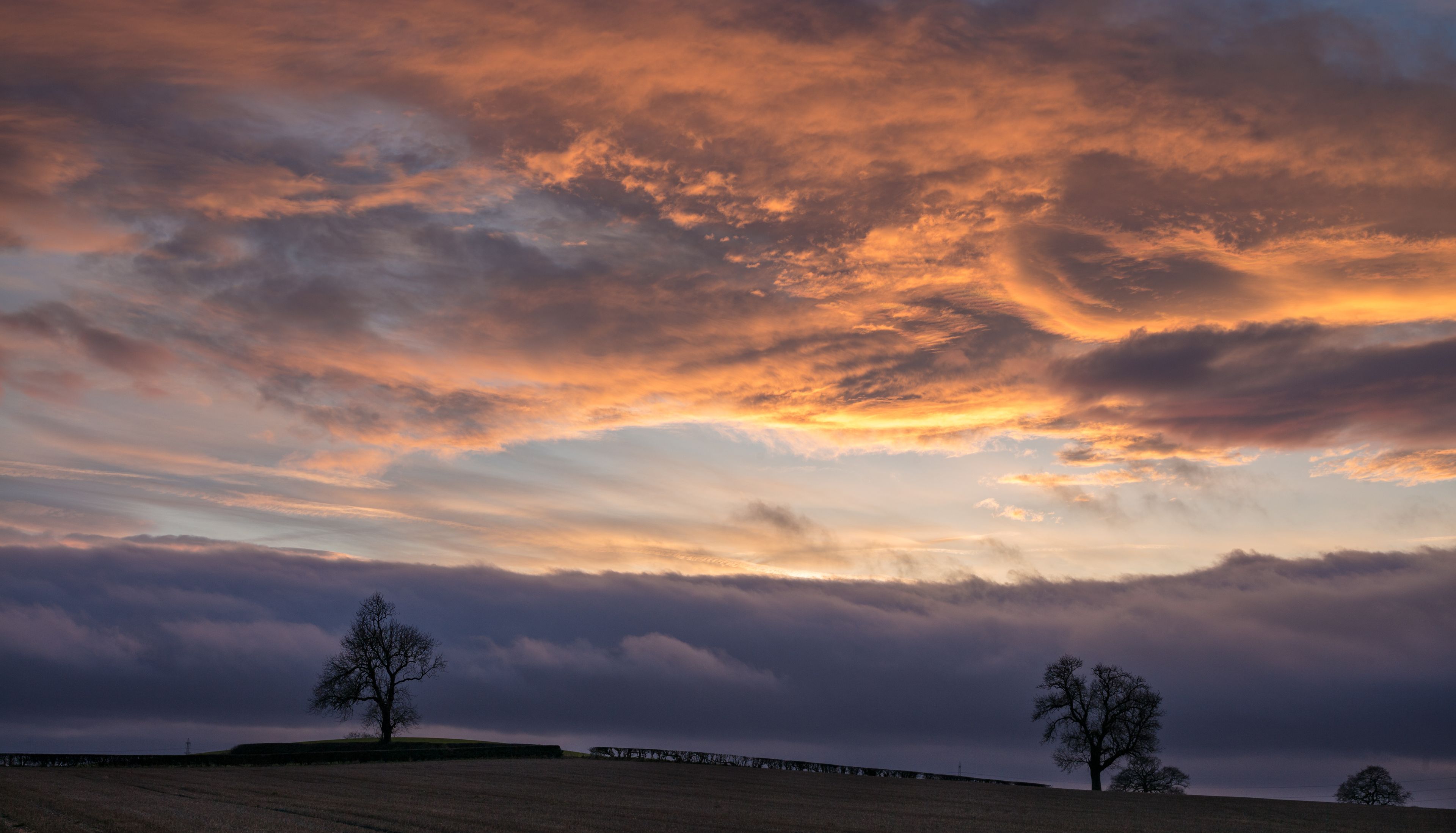 Un paisaje con un campo y dos árboles bajo un cielo dramático con nubes anaranjadas y púrpuras.