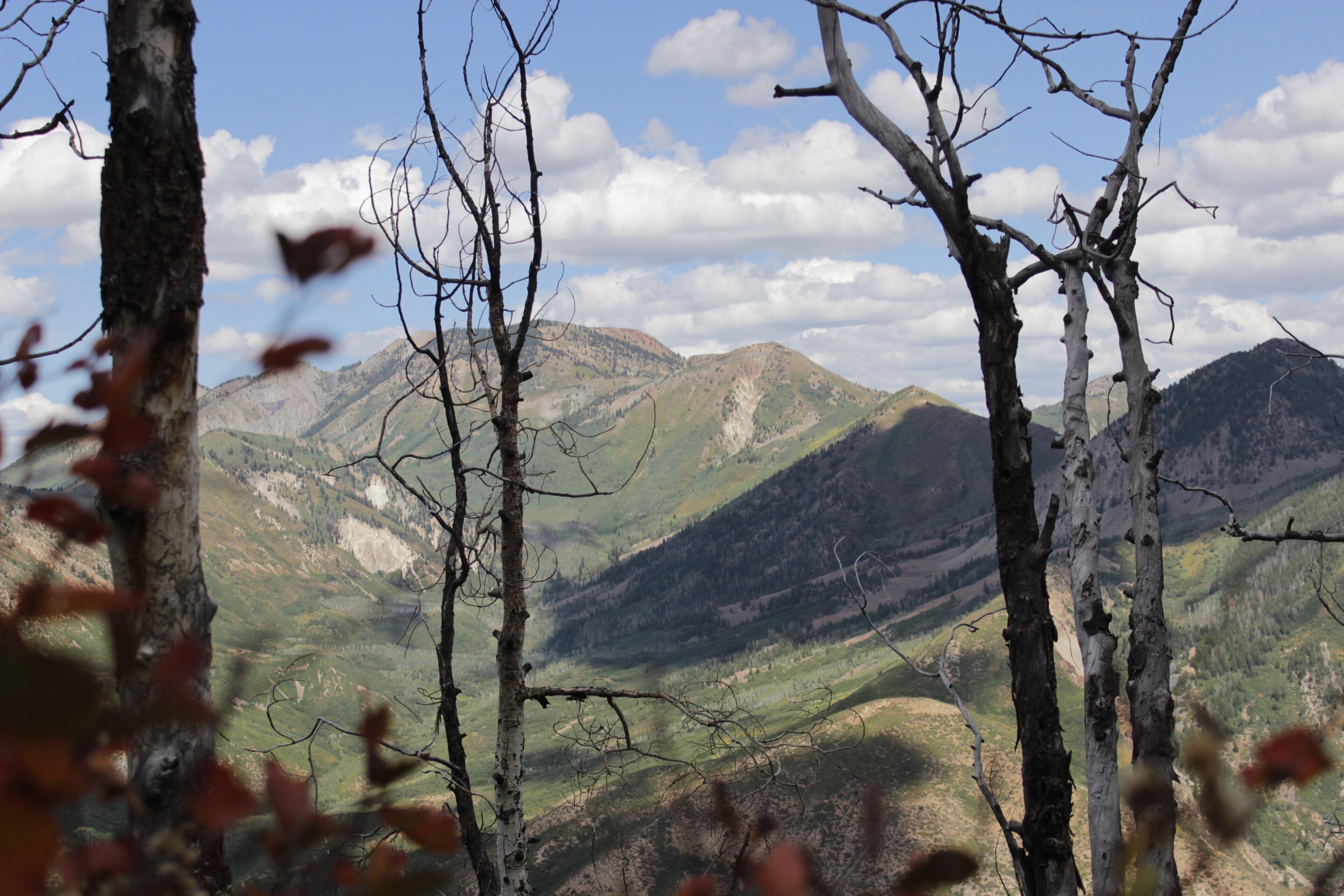 Reminiscing on my 2019 Elk Hunt