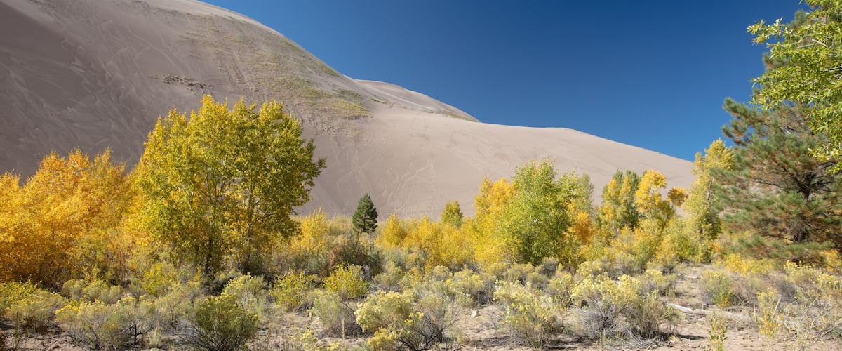 Great Sand Dunes National Park near Alamosa Colorado United States