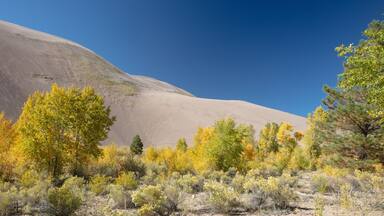 A desert landscape with a prominent sand dune and autumn-colored trees.