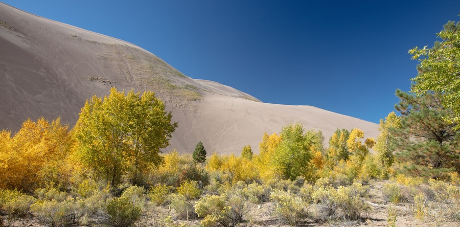 Great Sand Dunes National Park near Alamosa Colorado United States