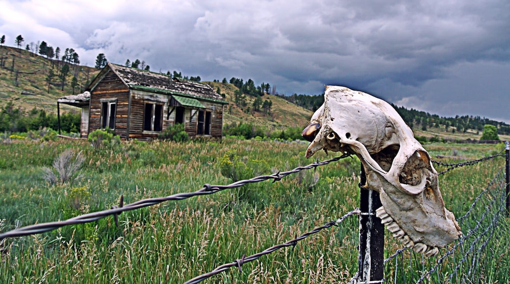 This house was calling to be photographed. The skull was a nice surprise. July 28, 2014