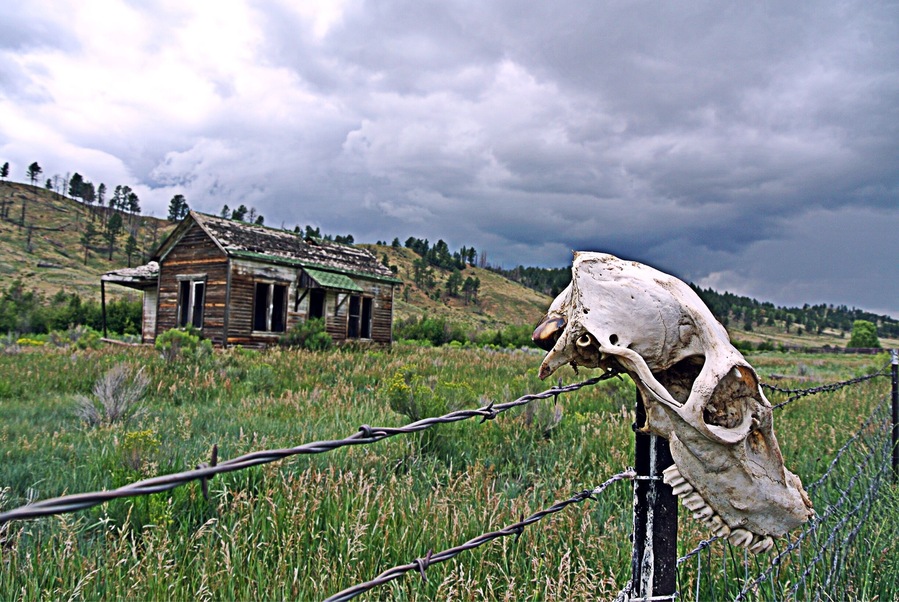 This house was calling to be photographed. The skull was a nice surprise. July 28, 2014