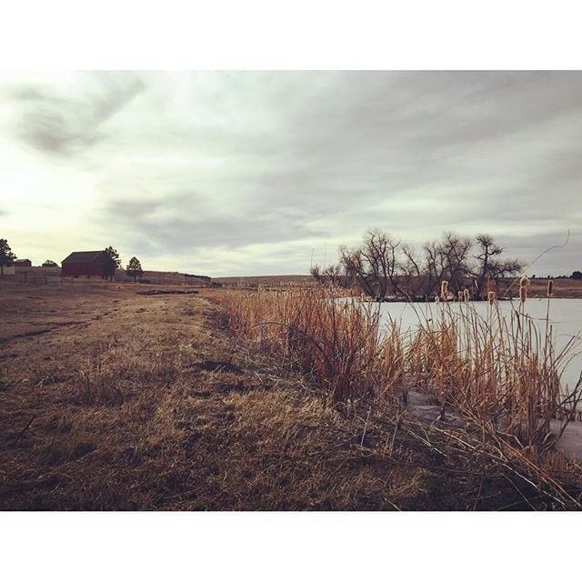Visited Prairie Canyon Ranch in Douglas County this morning... Really beautiful spot 💚 #douglascounty #colorado #ranch #historicpreservation #historic