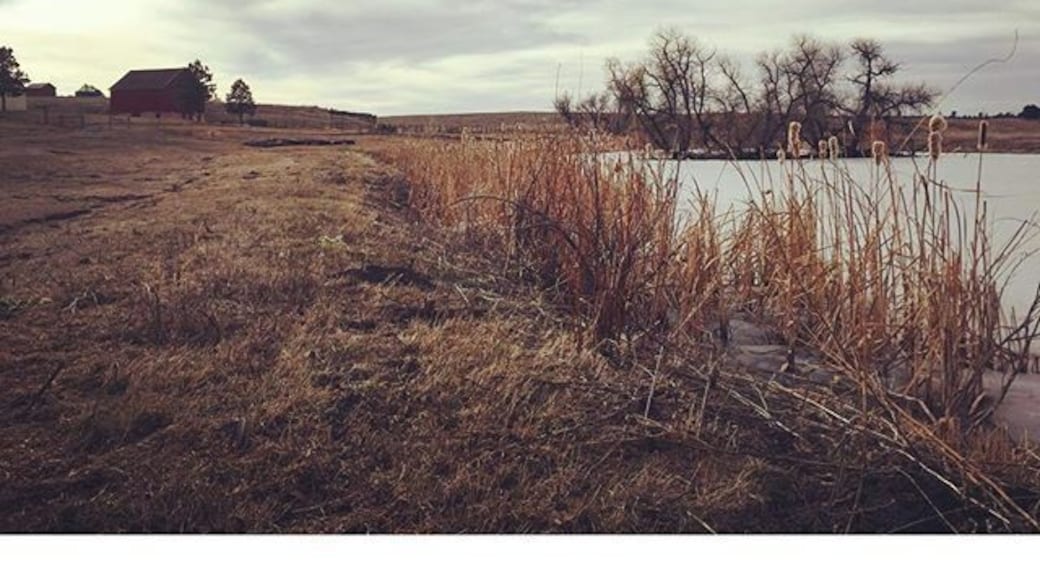 Visited Prairie Canyon Ranch in Douglas County this morning... Really beautiful spot 💚 #douglascounty #colorado #ranch #historicpreservation #historic