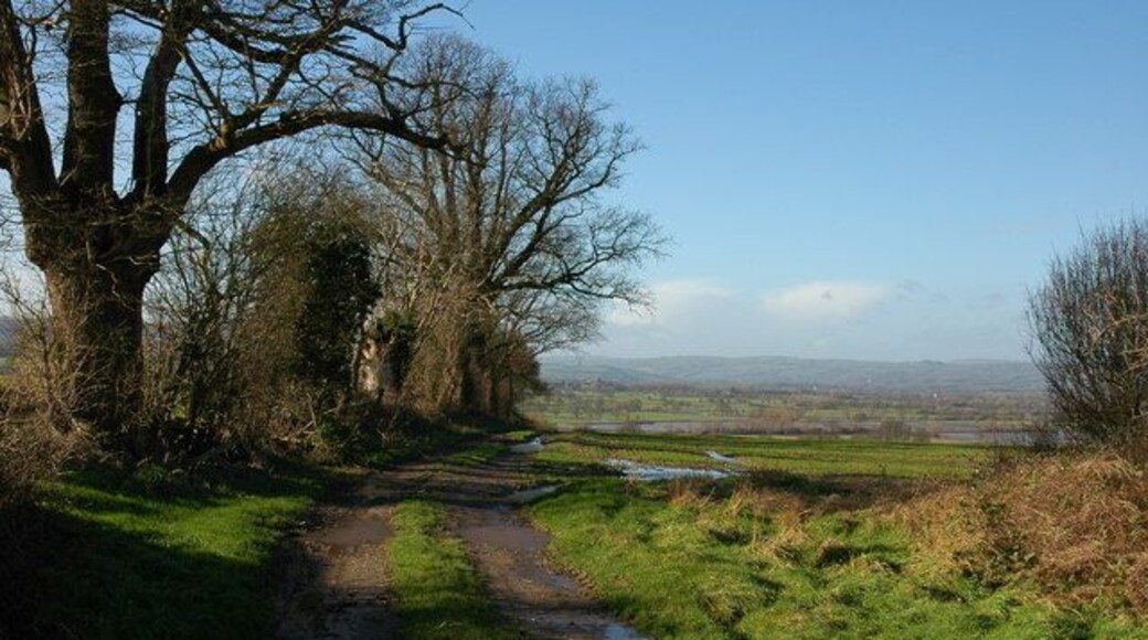 Farm track near Upper Norton In the valley beyond, the unusually named stream, Letton Lake, a tributary of the river Wye, has flooded the low lying farmland