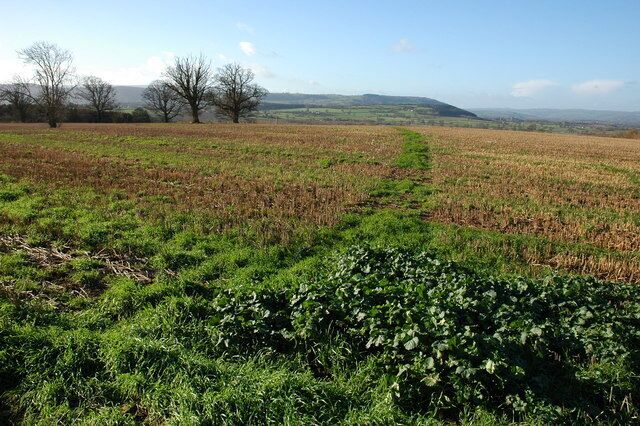 Footpath from Upper Norton View to the south-west from a footpath near Upper Norton