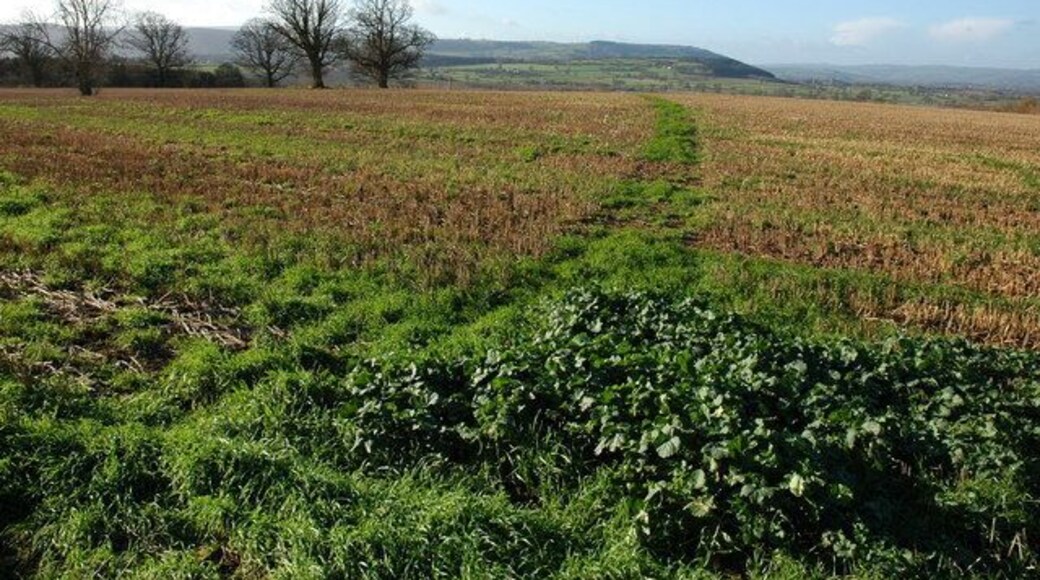 Footpath from Upper Norton View to the south-west from a footpath near Upper Norton