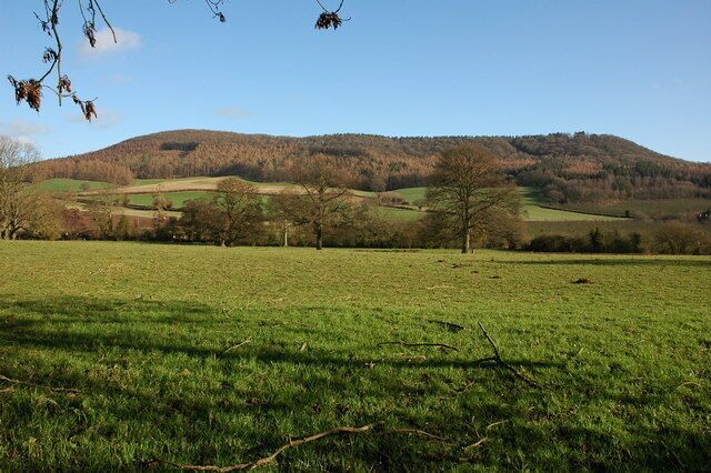 View to the east from Norton Canon The view to the east from Norton Canon is dominated by Burton Hill and Yazor Wood.