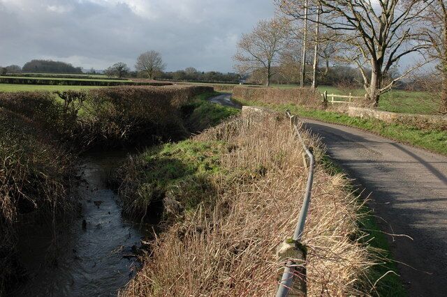 A rural road curving alongside a narrow stream with overgrown vegetation and a tree in the background.