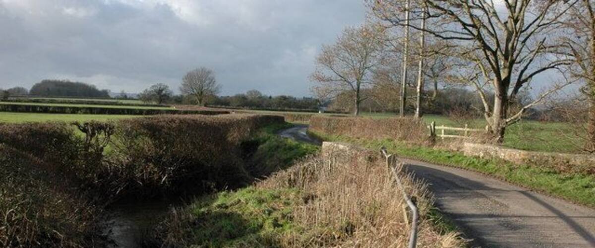 A rural road curving alongside a narrow stream with overgrown vegetation and a tree in the background.