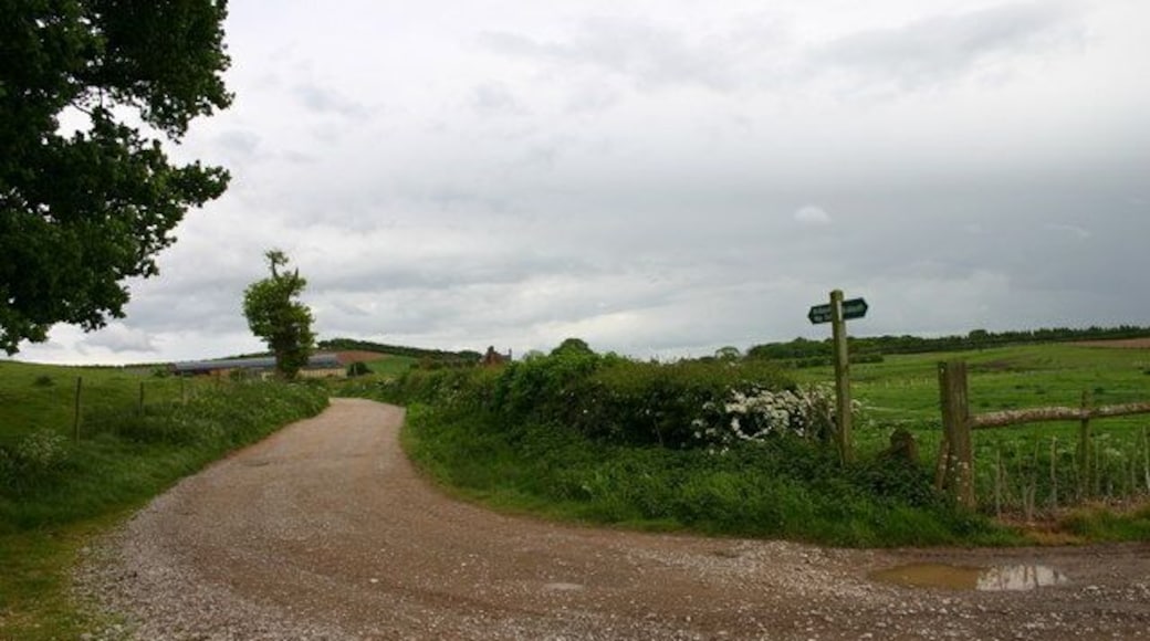 Bridleway to a Hall This bridleway leads to Knightly Hall, the buildings of which are just coming into view.