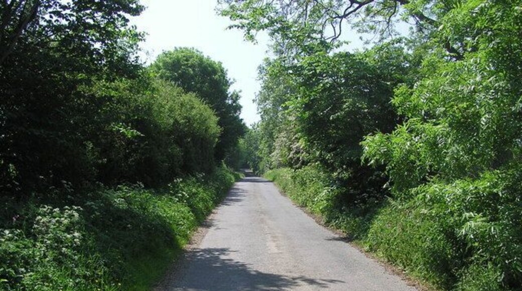 Flats Bank : Ravensworth. Looking south-southwest