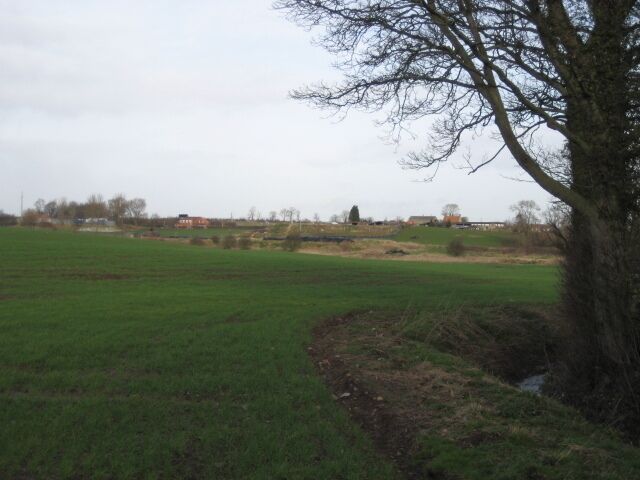 A rural landscape with a large green field, a tree, and distant buildings.