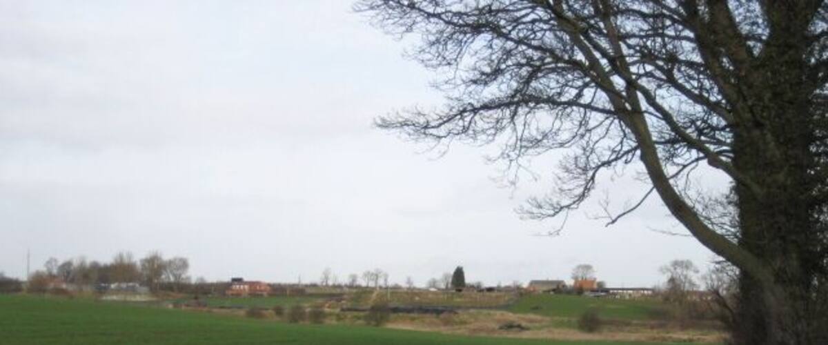 A rural landscape with a large green field, a tree, and distant buildings.