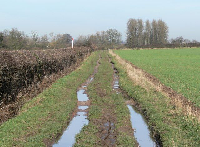 Muddy public bridleway Looking north towards Sheepy Lane, close to Orton-on-the-Hill.
