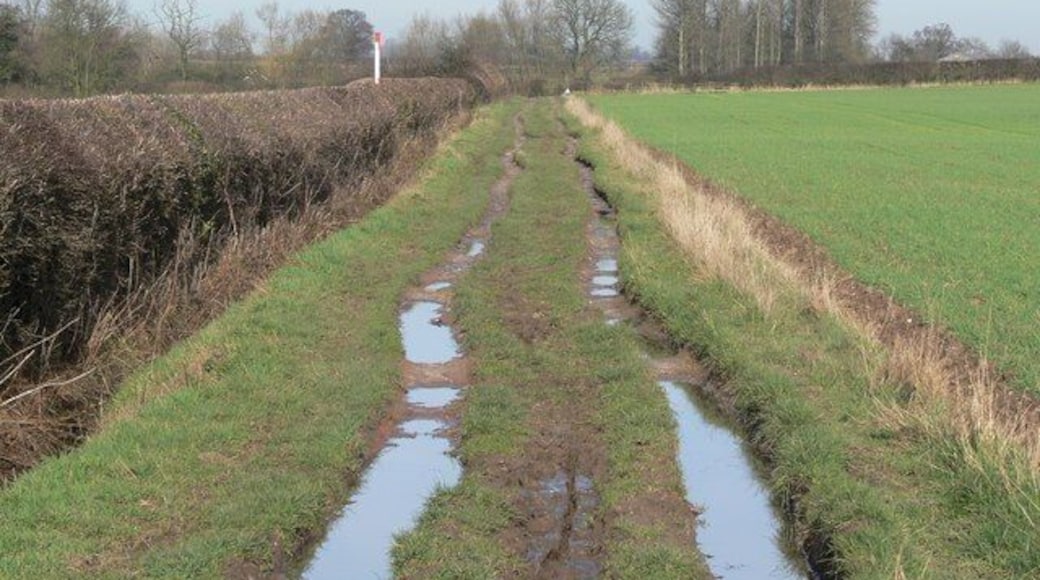 Muddy public bridleway Looking north towards Sheepy Lane, close to Orton-on-the-Hill.