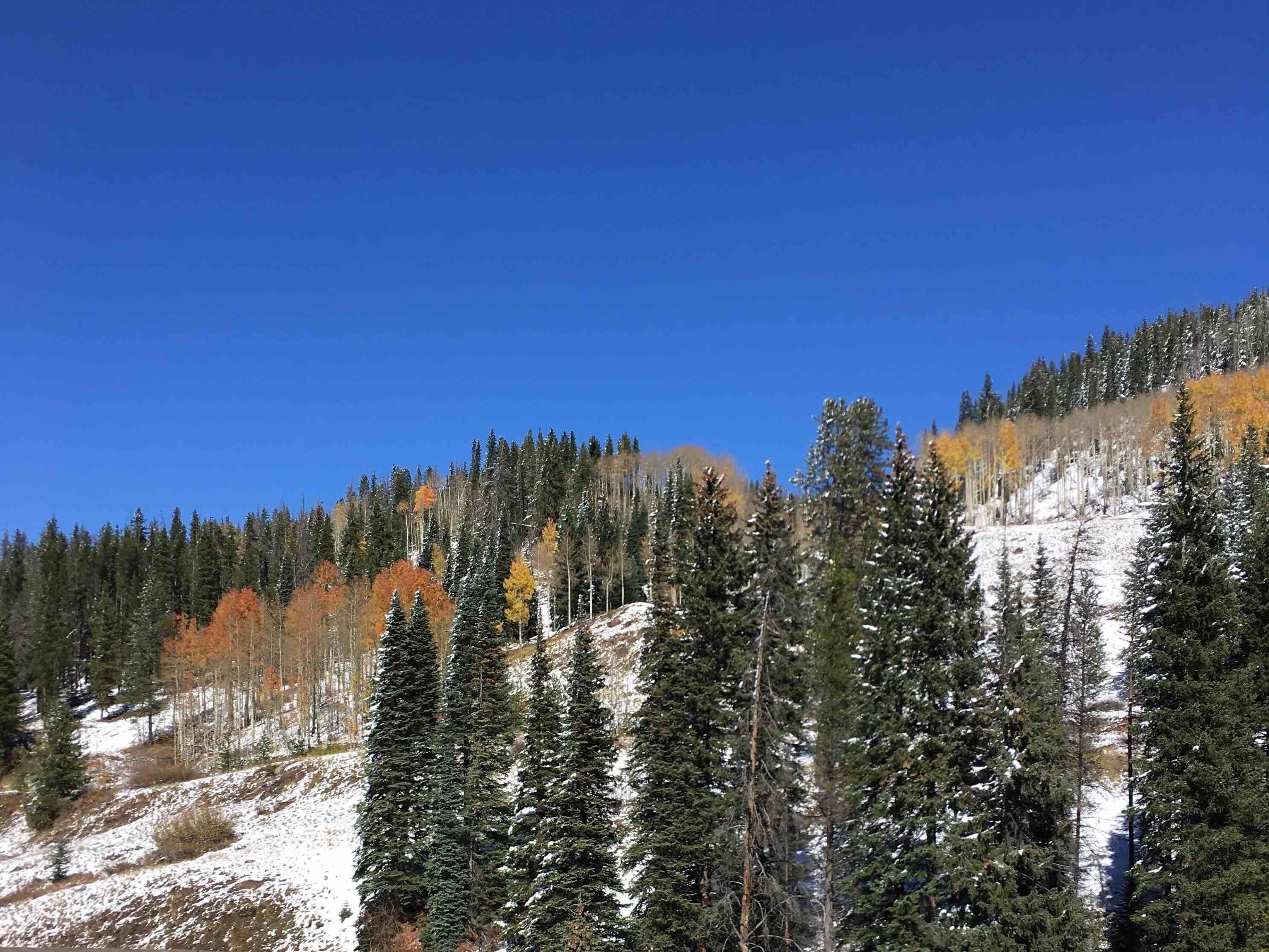Colorado Autumn colors...fading into winter...along I-70 near Vail, CO