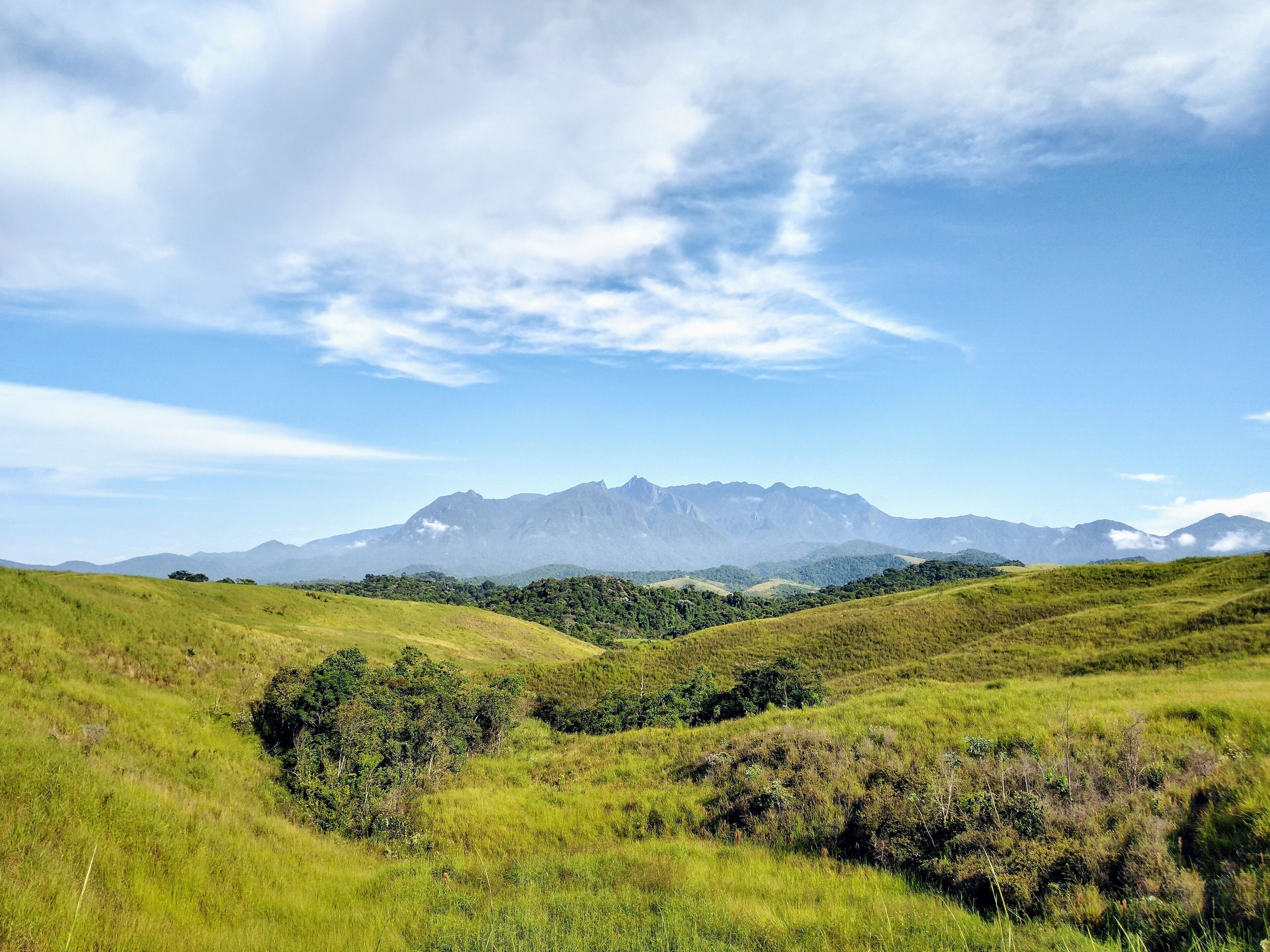 A grassy landscape with rolling hills and distant mountains under a clear sky.