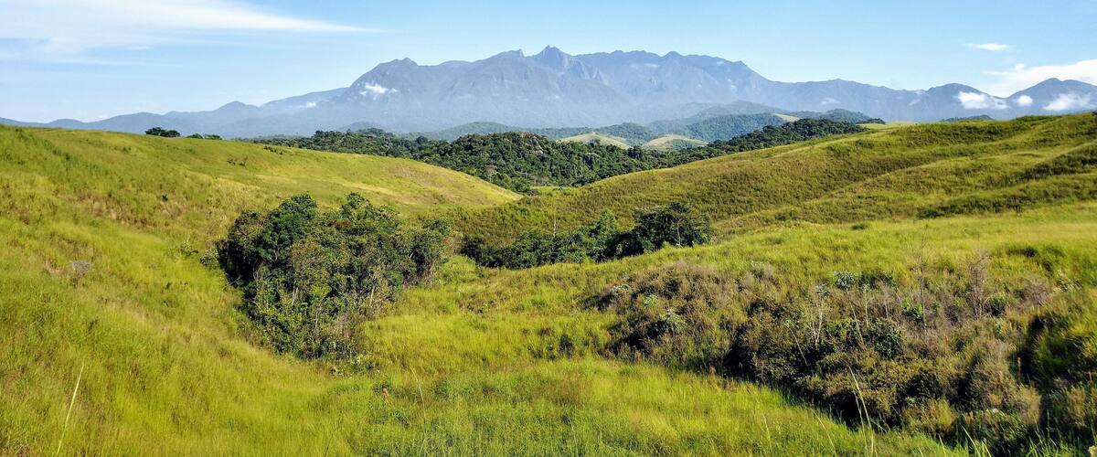 A grassy landscape with rolling hills and distant mountains under a clear sky.