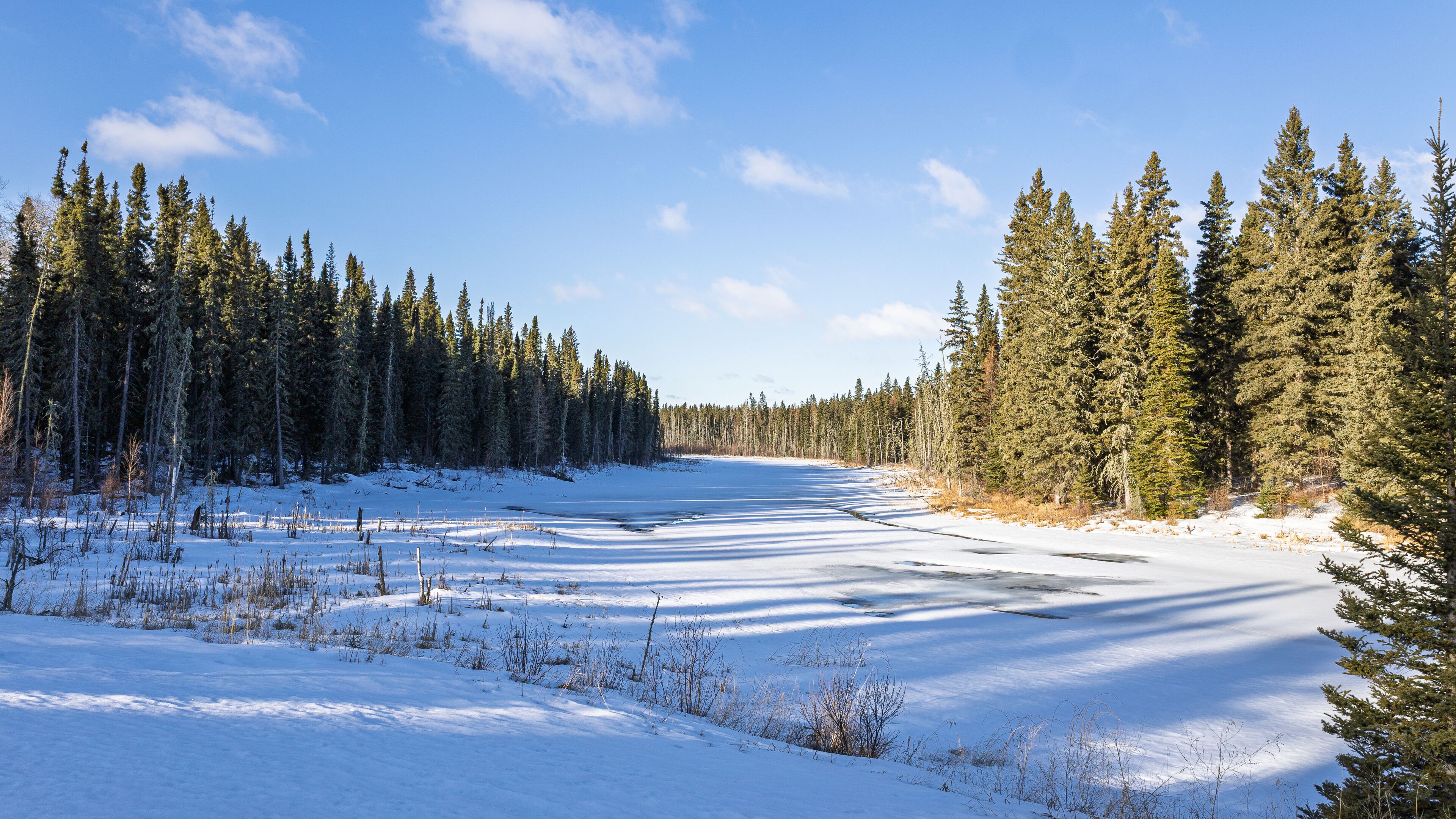 A snow-covered landscape with a frozen river, dense coniferous forest, and a clear blue sky.