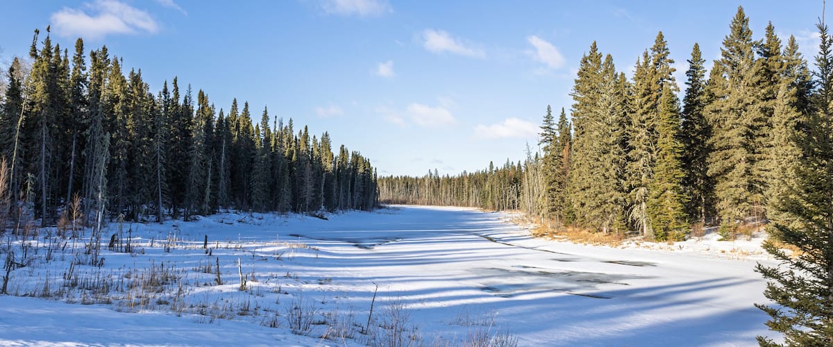 A snow-covered landscape with a frozen river, dense coniferous forest, and a clear blue sky.