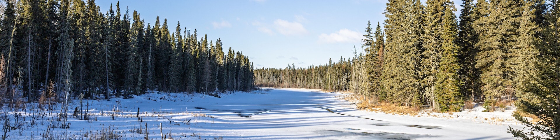 A snow-covered landscape with a frozen river, dense coniferous forest, and a clear blue sky.