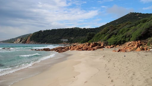 Coast line near Cargèse