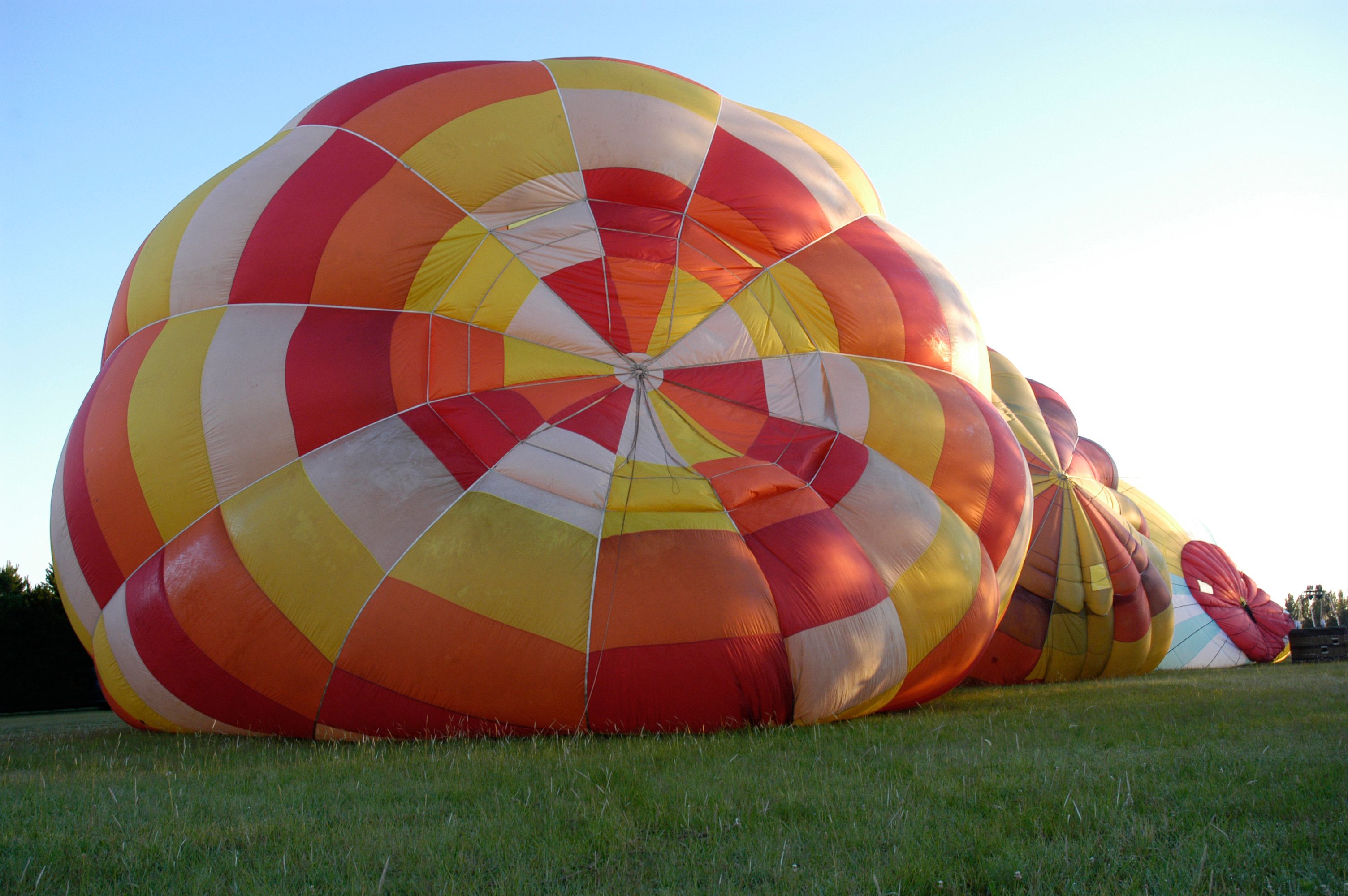 Hot air balloon inflating over the grass in Los Cardales, Buenos Aires province, Argentina.