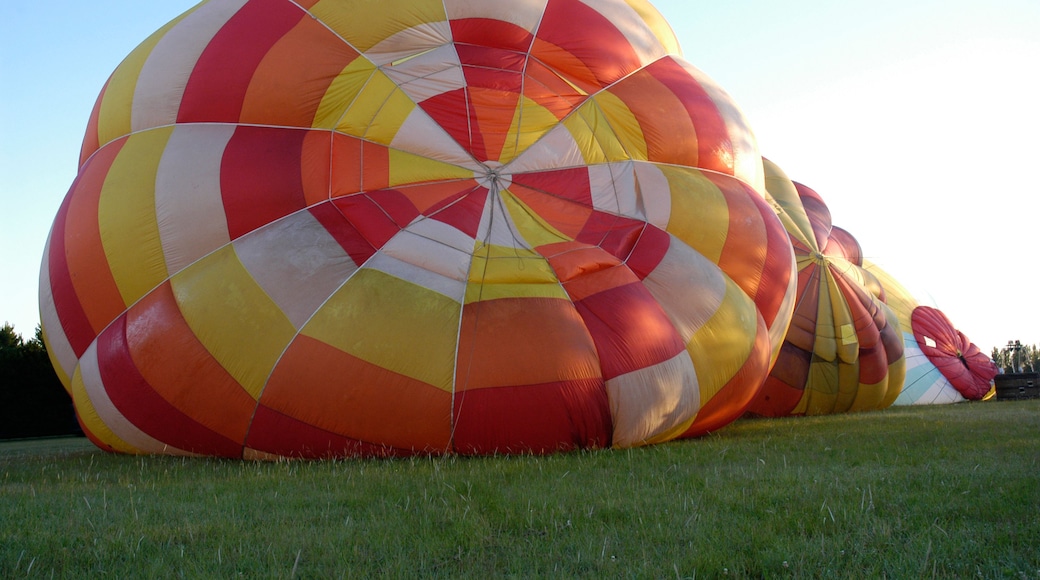 Hot air balloon inflating over the grass in Los Cardales, Buenos Aires province, Argentina.