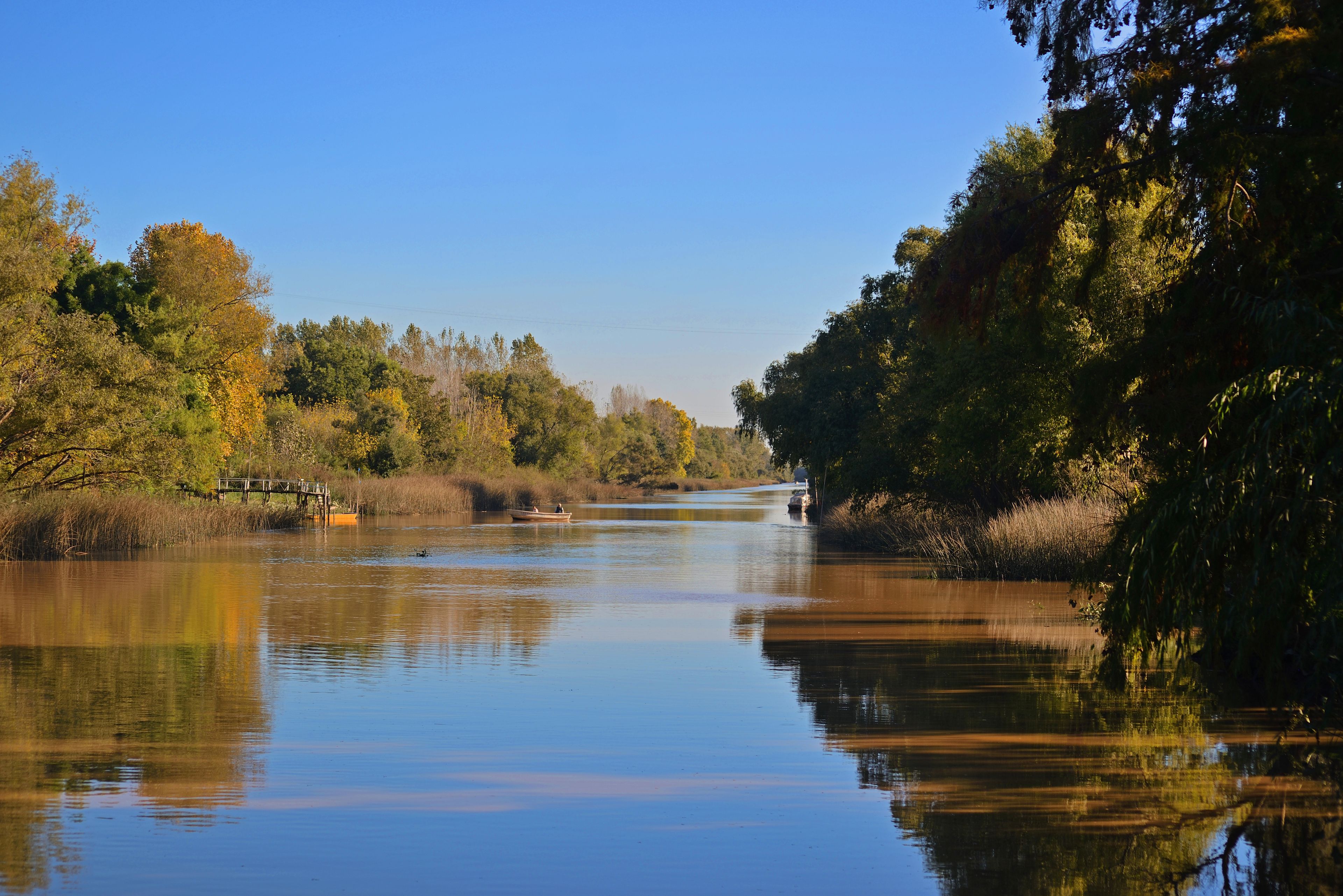 Paisaje isleño en Campana, Buenos Aires, Argentina