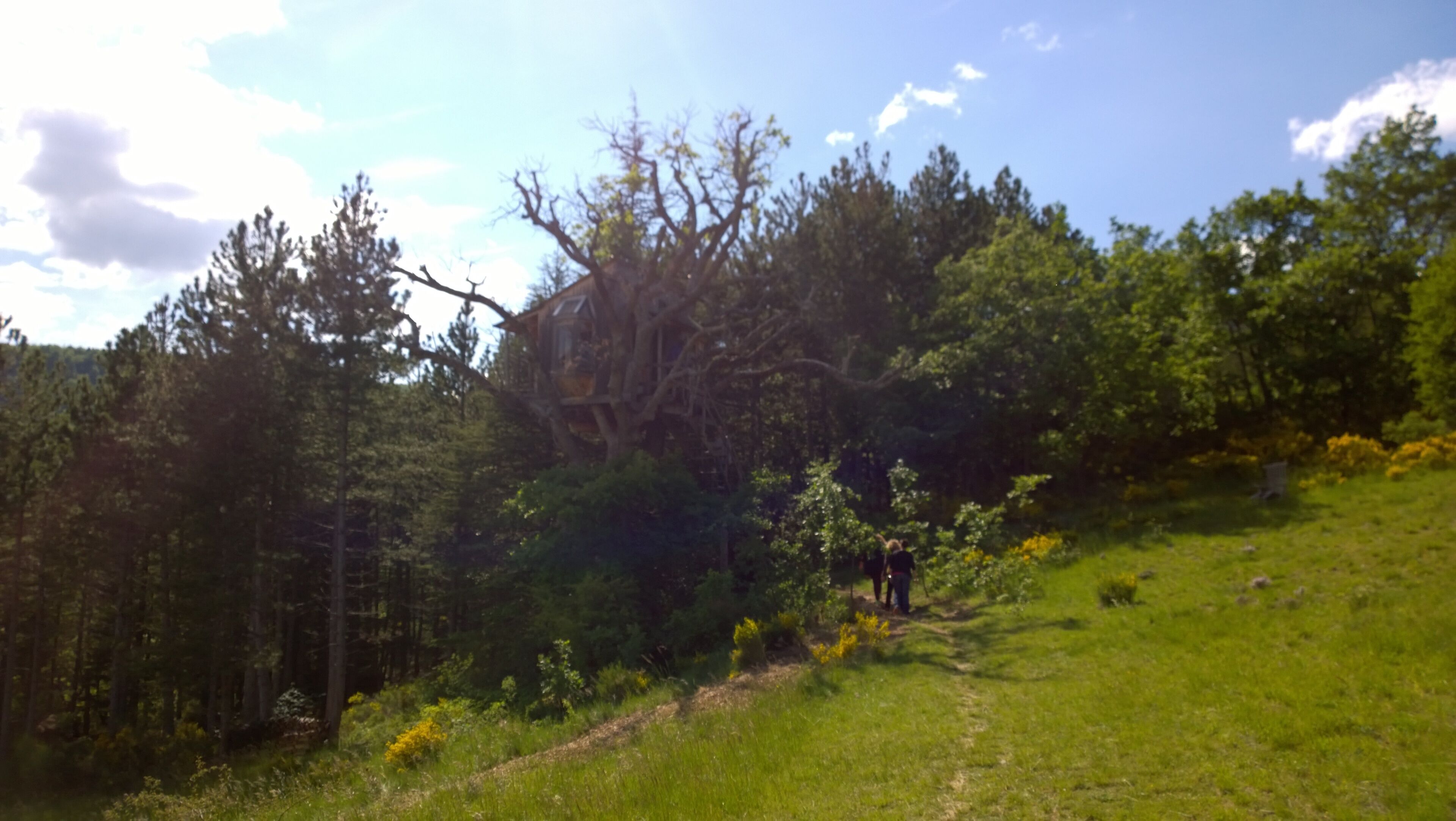 04200 Bevons, France